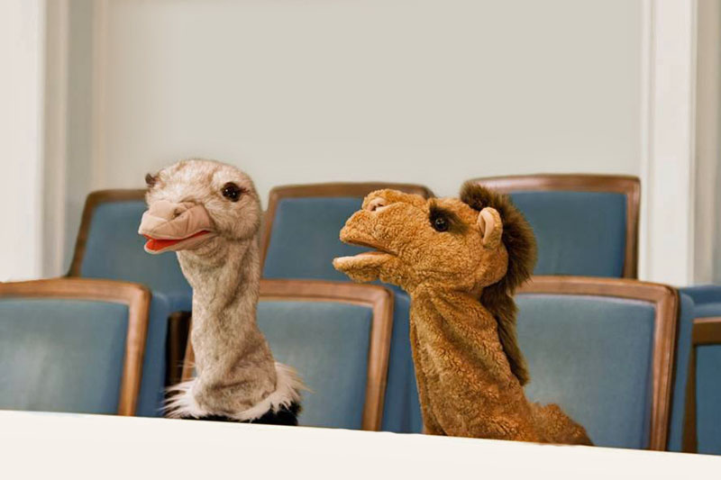 Kamal und Zazou